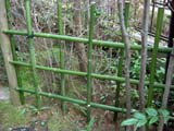 四つ目垣